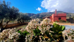 TODIMER FINCA ALPUJAREÑA, Vélez de Benaudalla